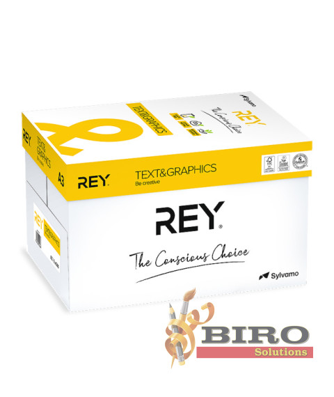Hârtie pentru tehnica de birou REY A3 (120 gr/m, 250 foi) REY TEXT+GRAPHICS clasa A++