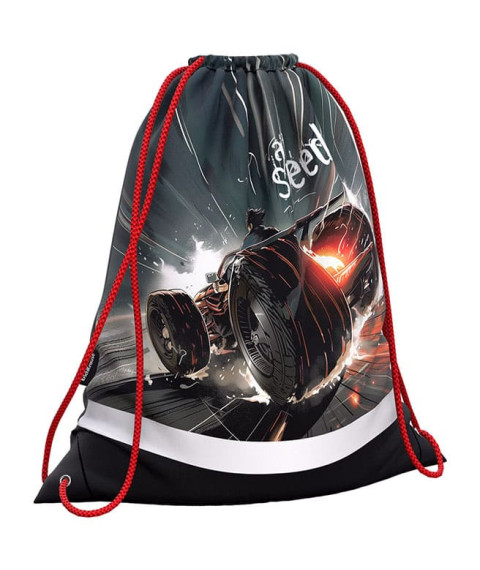 Geantă pentru încălțăminte ErichKrause, Big Wheels