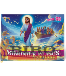 Carte 3D: Minunile lui Isus