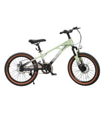 Bicicletă pentru copii 20 art. TN23A04, verde