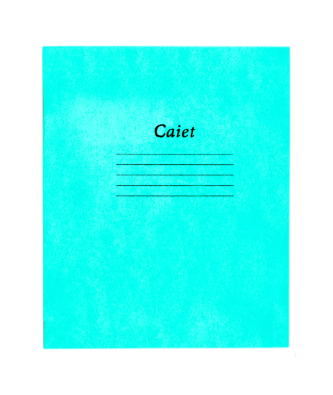 Caiete 12 foi A5, coperta verde