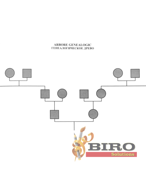 Fișă medicală de ambulator 025/E, A5, 60 foi