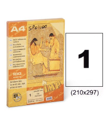 Etichete autoadezive A4, 100 foi, 1 buc, 210*297 mm