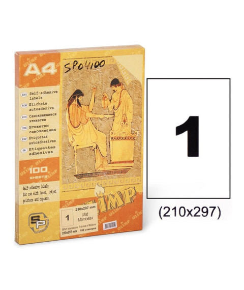 Etichete autoadezive A4, 100 foi, 1 buc, 210*297 mm