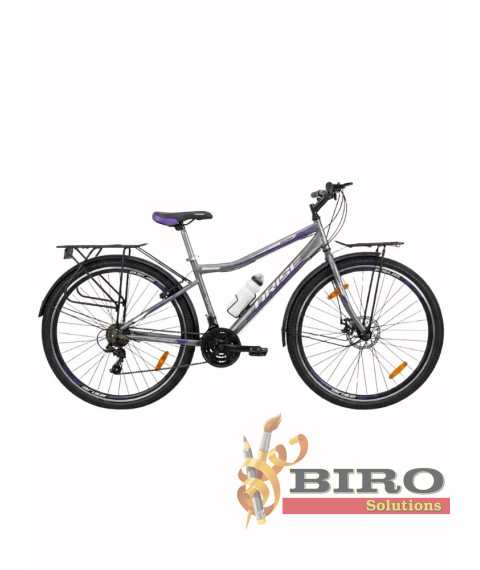 Bicicletă Arise MTB 22/24/26/29 inch, gri/violet
